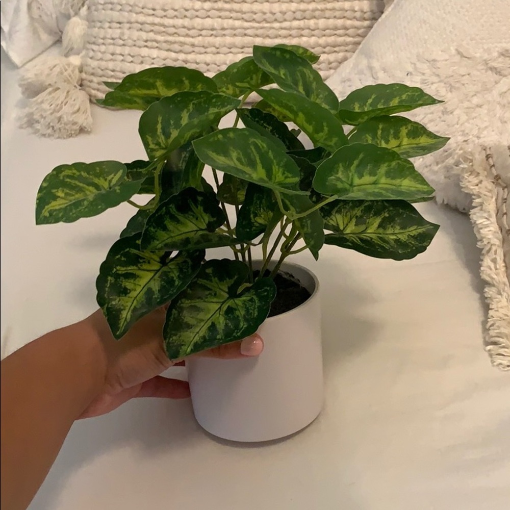 Fake plant